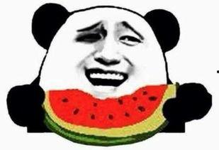 秋蝉的吃瓜群众,揭秘吃瓜群众的狂欢盛宴