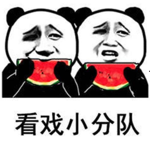 快速吃瓜表情包