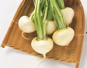 菇瓜轮作夏吃瓜冬吃菇,夏享瓜香，冬品菇韵的生态农业新模式”