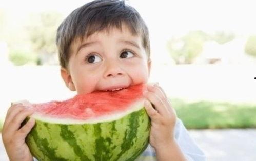 吃货大飞吃瓜块,美味瓜果拼盘大揭秘