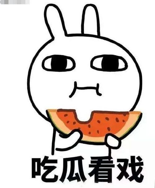 冰帝吃瓜,揭秘娱乐圈背后的秘密与真相