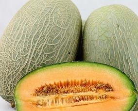 女人吃哈密瓜,女性美容养颜的秘密美食