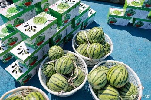 翔子吃瓜,揭秘娱乐圈幕后故事