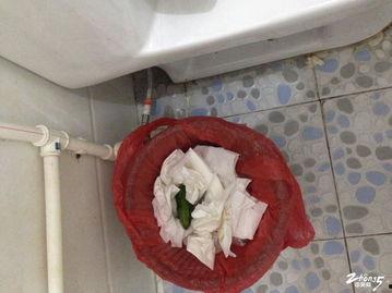 在厕所吃瓜视频,揭秘网红吃瓜视频背后的秘密